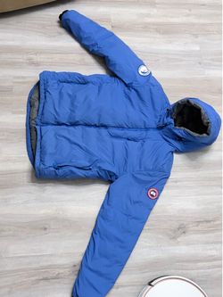 Canada goose