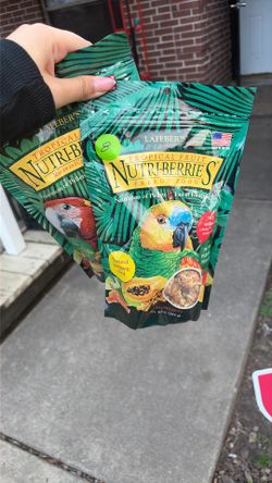 Bird Food