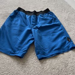 Prana Swim Shorts 