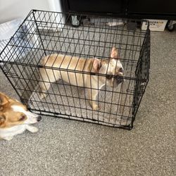 Small/medium Dog Crate