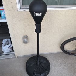 Everlast Core Reflex Bag