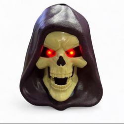 He- Man. Skeletor Popcorn Bucket