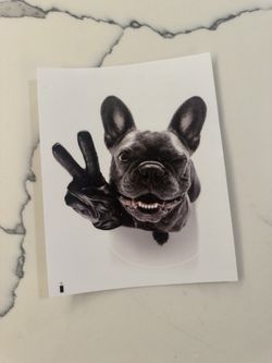 French Bulldog Peace Sign Sticker Winking Dog Vinyl Decal