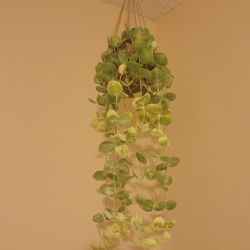 Kazeila Artificial Hanging Potted Plant