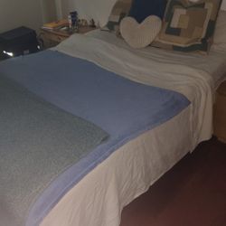 Avocado Green Pillow Top With Adjustable Eco Base