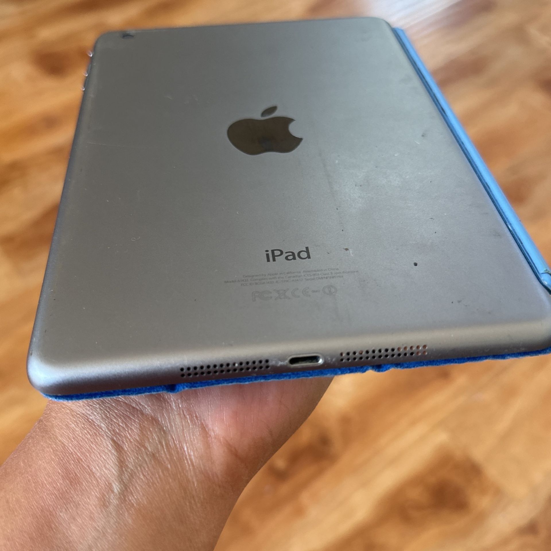 Apple Mini 1st Edition