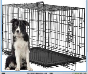 XXL Foldable Metal Dog Crate (New)