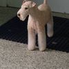 Edgar