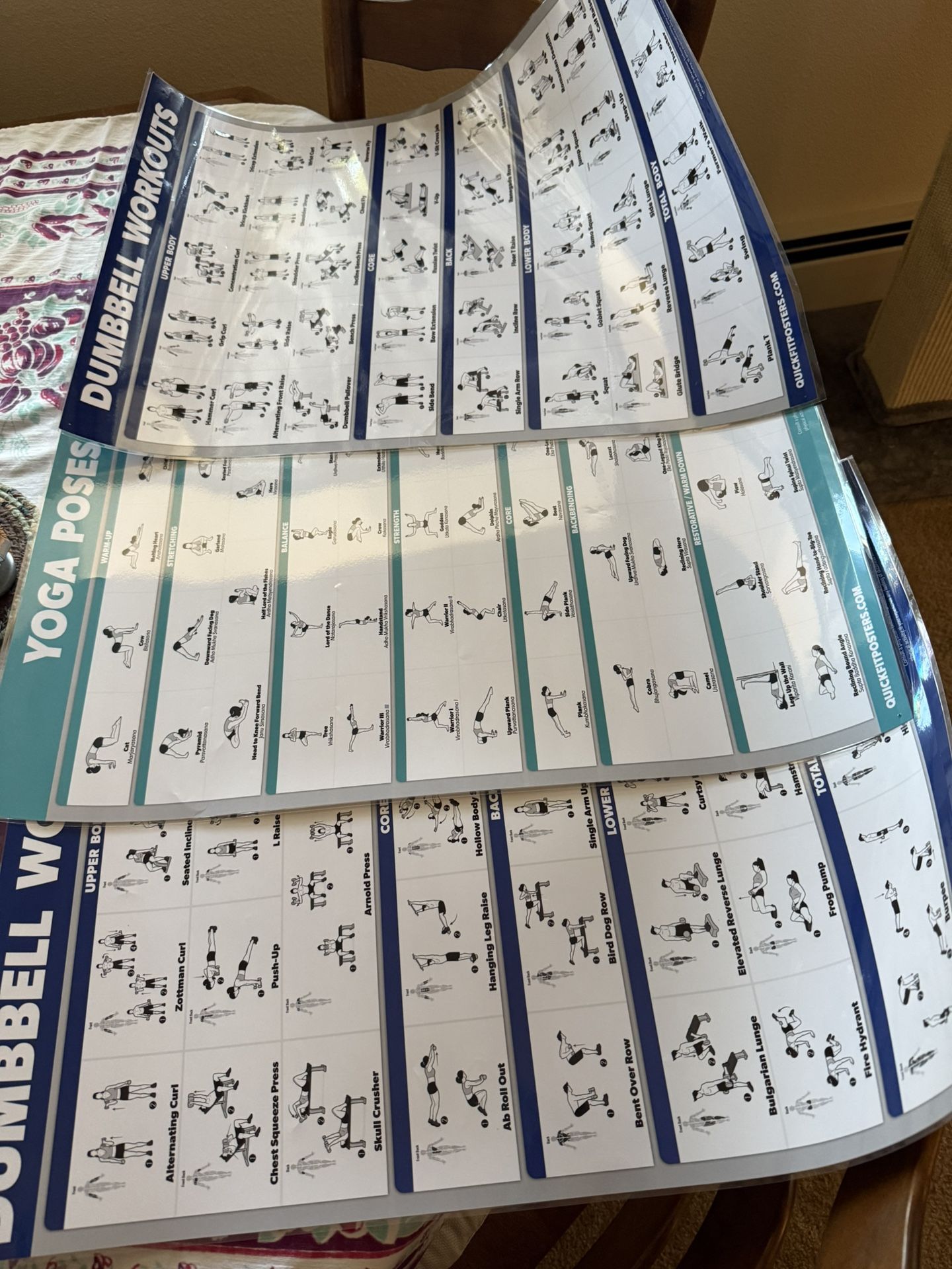 Work Out Laminated Posters OBO