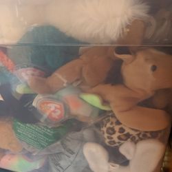 Tons Of Beanie Babies Different Prices