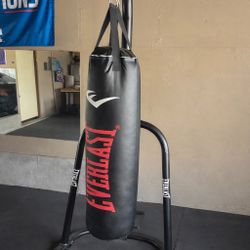 Everlast Punching Bag + Stand (gloves and hand wraps included)