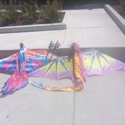 2 Large Kites Dragon And Parrot