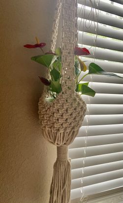 Handmade macrame ❣️ (plant not included)