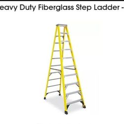 12 Foot Werner Ladder  $200
