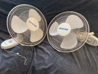 Electric Fan