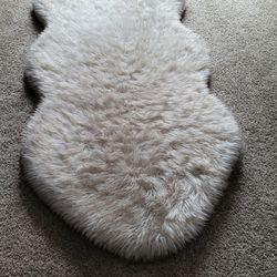 Orthopedic Dog Bed