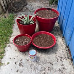 (4) Ceramic Pots Red With Agave  Plant 