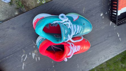 Nike LeBron’s