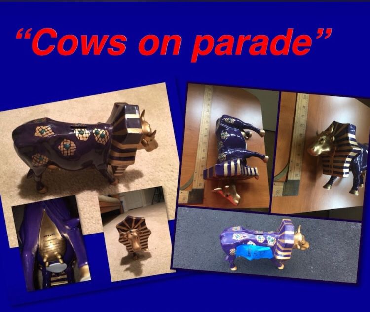 “Cows on parade “ Chicago: tutancowman bank