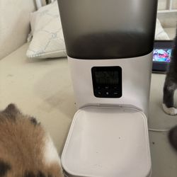 automatic Cat Feeder 