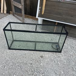 55 Gallon Fish Tank 