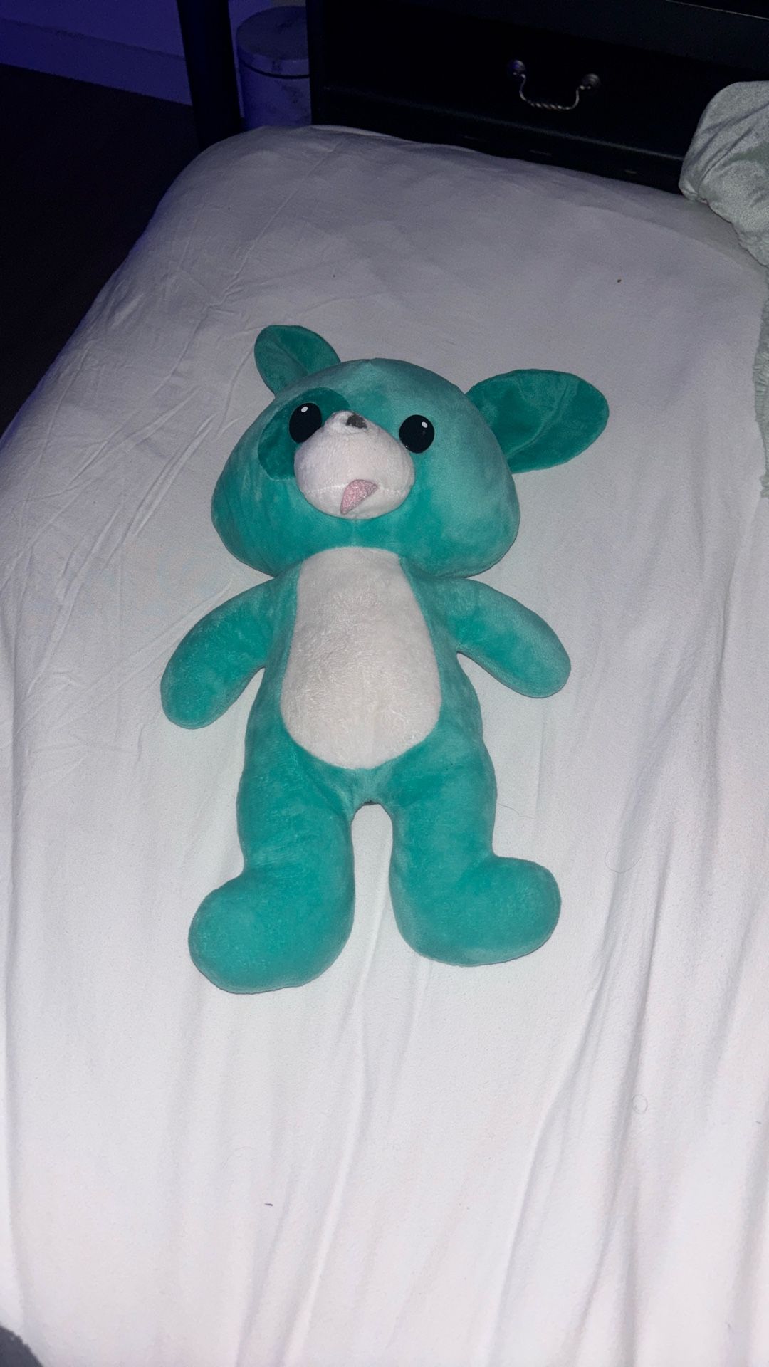 green/blue small Bear stuffed animal