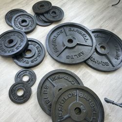 Olympic Weight Set & Weight Tree Rack 