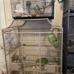 Stand Jahula Cage 