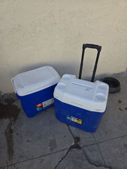 Cooler