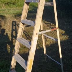 Louisville Ladder 6ft $33