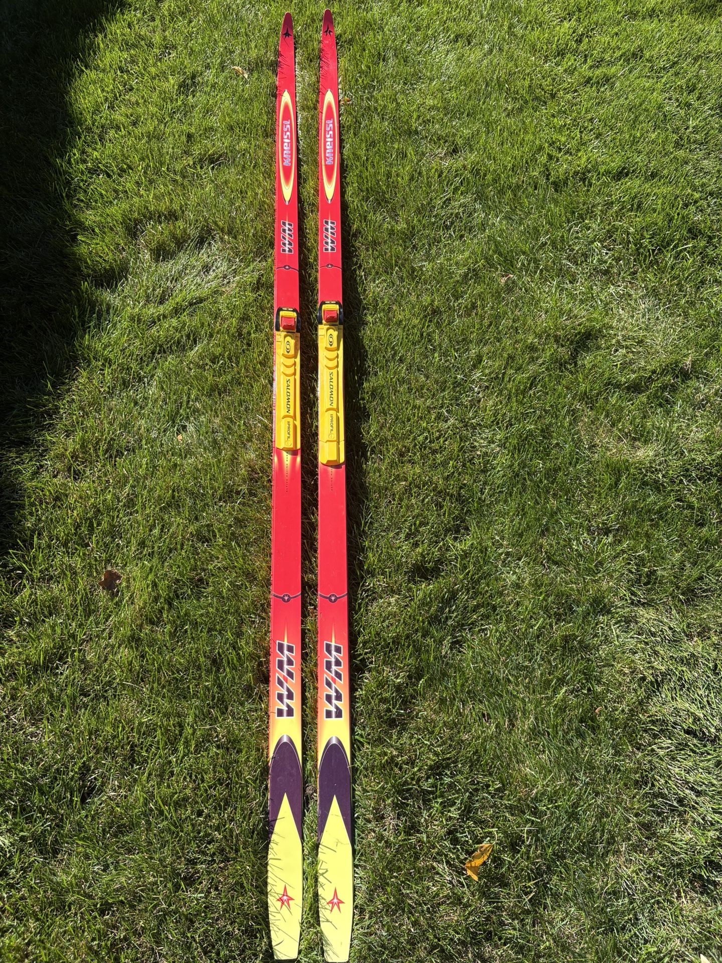 Kneissl Skate Cross Country Skis 190 Cm