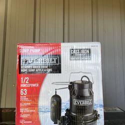 1/2 Everbilt cast iron submersible pump