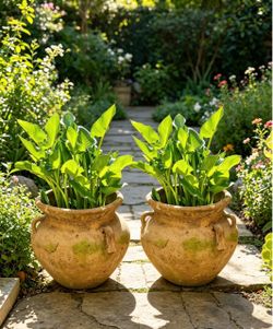 Very Large Terracotta Urn Planters – Set of 2, 16x22”