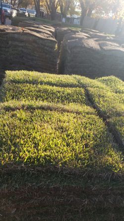 Grass Sod For Sale