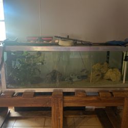 100 Gallon