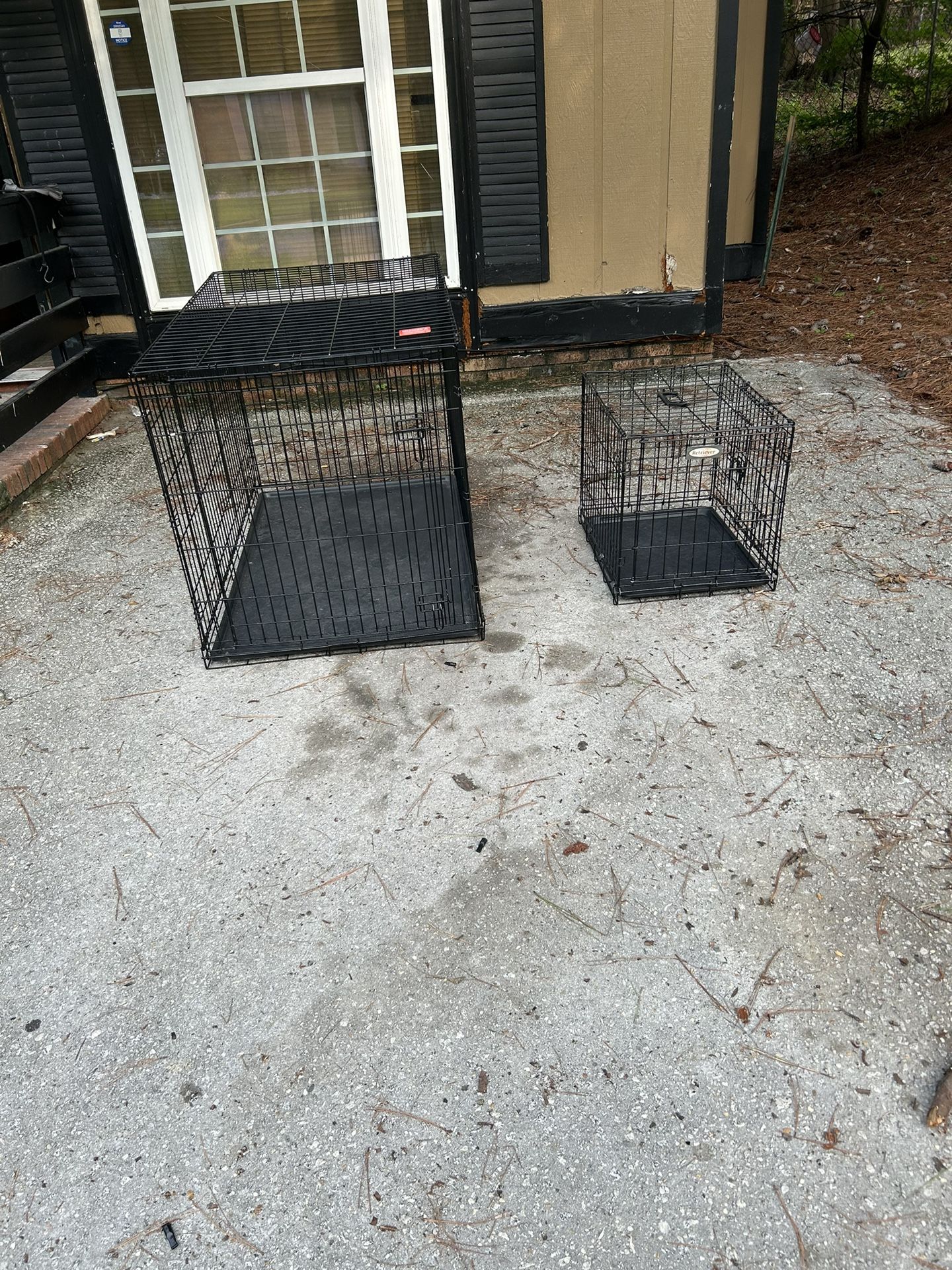 Dog Kennel 