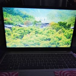 HP Laptop 15 Inch