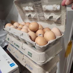 Brown Eggs////// Huevos De Rancho