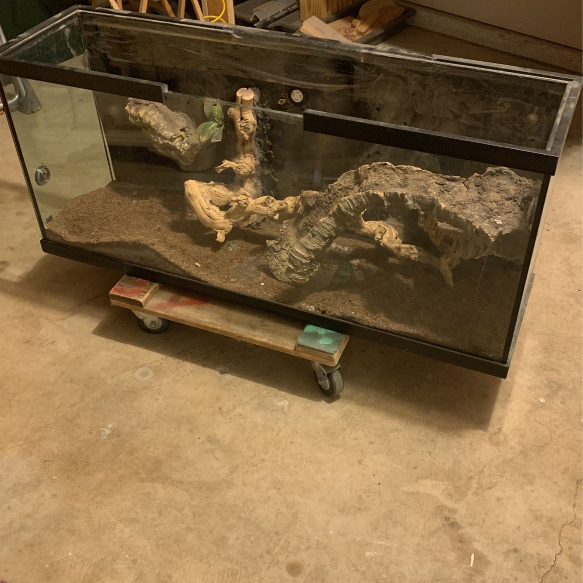 Reptile Tank