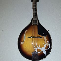 Washburn  MIS Model  Mandolin Hand Crafted