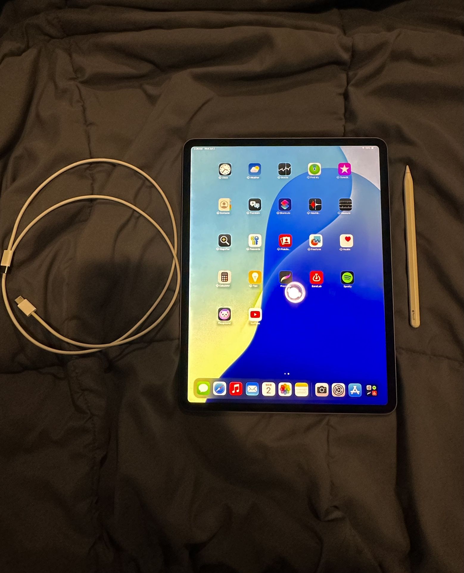 iPad Pro 13” 5th Gen (256GB, Wi-Fi) with Apple Pencil 2nd Gen - Works Great