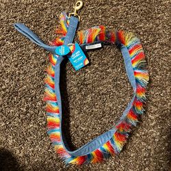 Rainbow 4ft dog leash