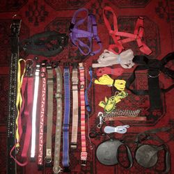 Dog Leashes Collars Beds Bowls Harnes Etc. Make An Offer On 1 Or All
