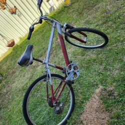 Diamond Back Wildwood Bike