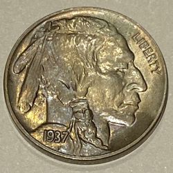 1937 Buffalo Nickel Mint State Gem!