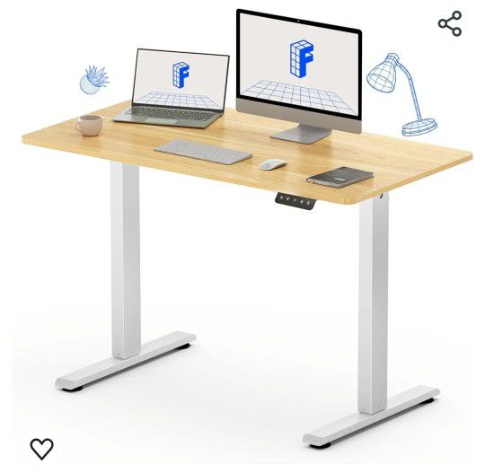 FLEXISPOT Standing Desk  43 × 24