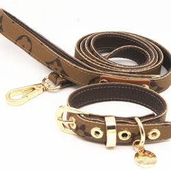 Designer Luxury Dog Collar And Leash Set