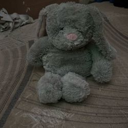 Gray Bunny