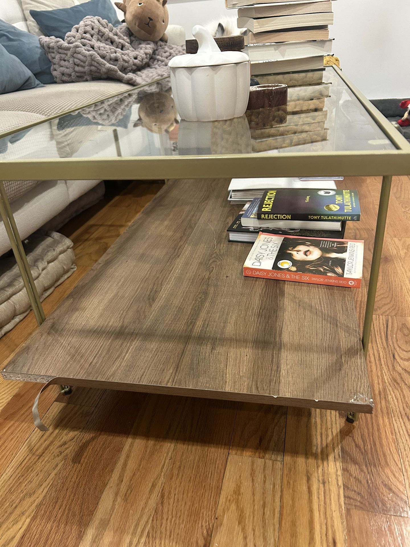 Mid Century Modern Glass Coffee Table