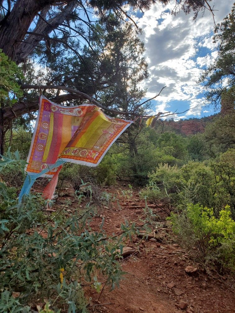 Reiki Sessions